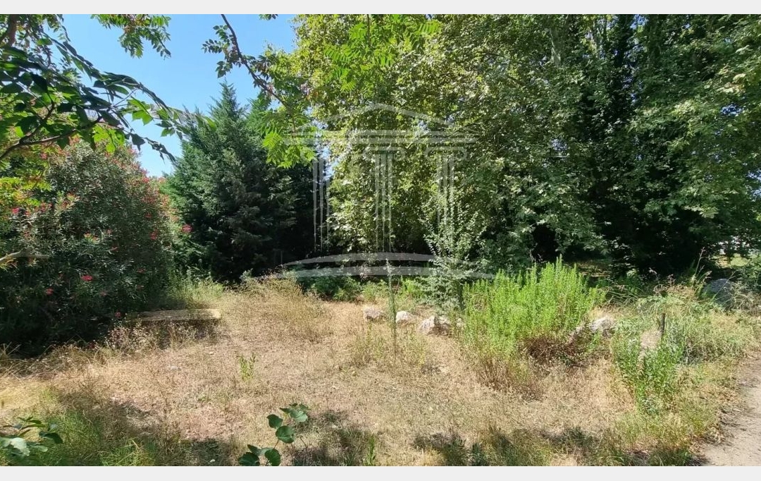 AGENCE TEMPLUM : Terrain | SORGUES (84700) | 0 m2 | 190 000 € 